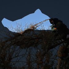 layer0-322