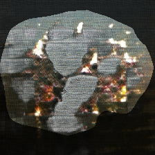 layer0-699