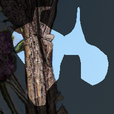 layer0-324