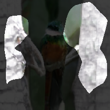 layer0-324