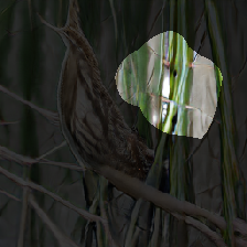 layer0-324
