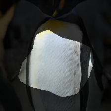 layer0-328