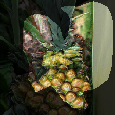 layer0-1092