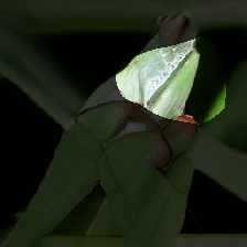 layer0-152