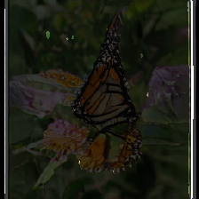 layer3-363