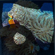 layer0-1095