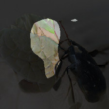layer0-332