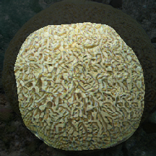 layer0-154