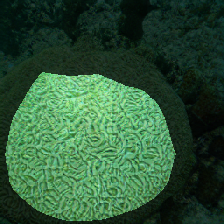 layer0-154