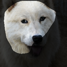 layer0-155