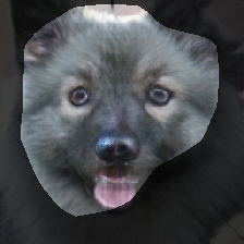 layer0-155
