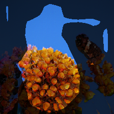 layer0-1097