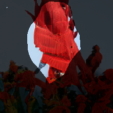 layer0-1097