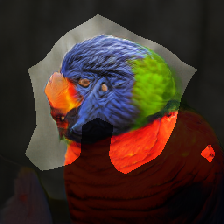 layer0-1098