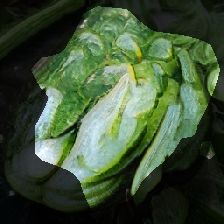 layer0-1098