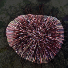 layer0-1100