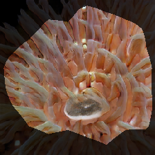 layer0-716