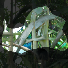 layer0-164