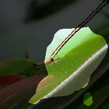 layer0-1318
