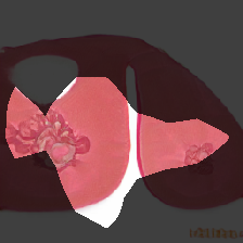 layer0-165