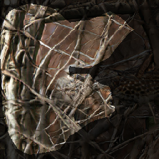 layer0-720