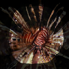 layer0-344