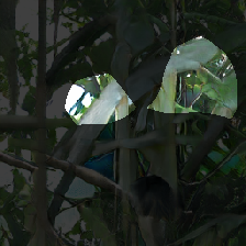 layer0-166