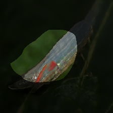 layer0-345