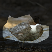 layer0-517