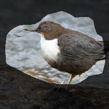 layer0-517