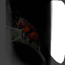 layer0-167