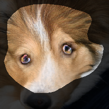 layer0-518