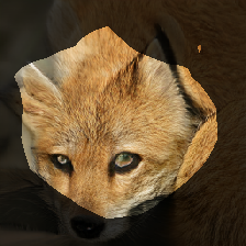 layer0-518