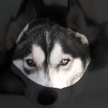 layer0-518