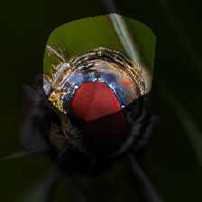 layer0-349