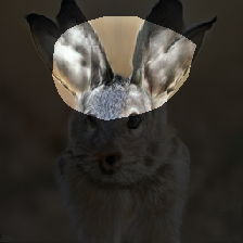 layer0-349