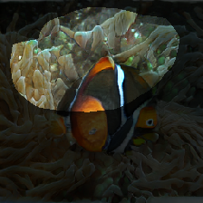 layer0-349