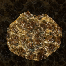 layer0-1323