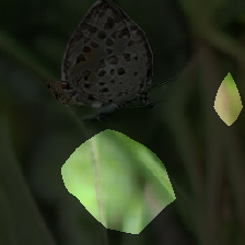 layer0-172