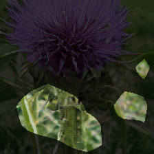 layer0-172