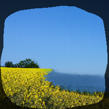 layer0-351