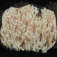layer0-725