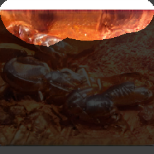 layer0-523