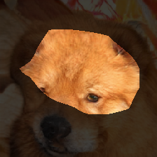 layer0-524