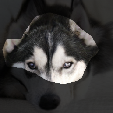 layer0-524