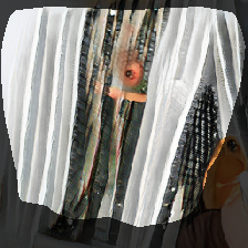 layer0-1115