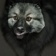 layer1-101