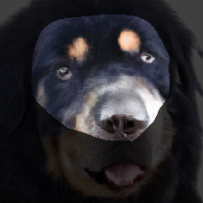 layer1-101