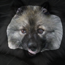 layer1-101