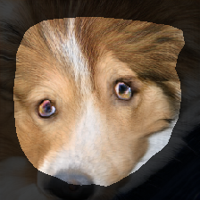 layer1-101